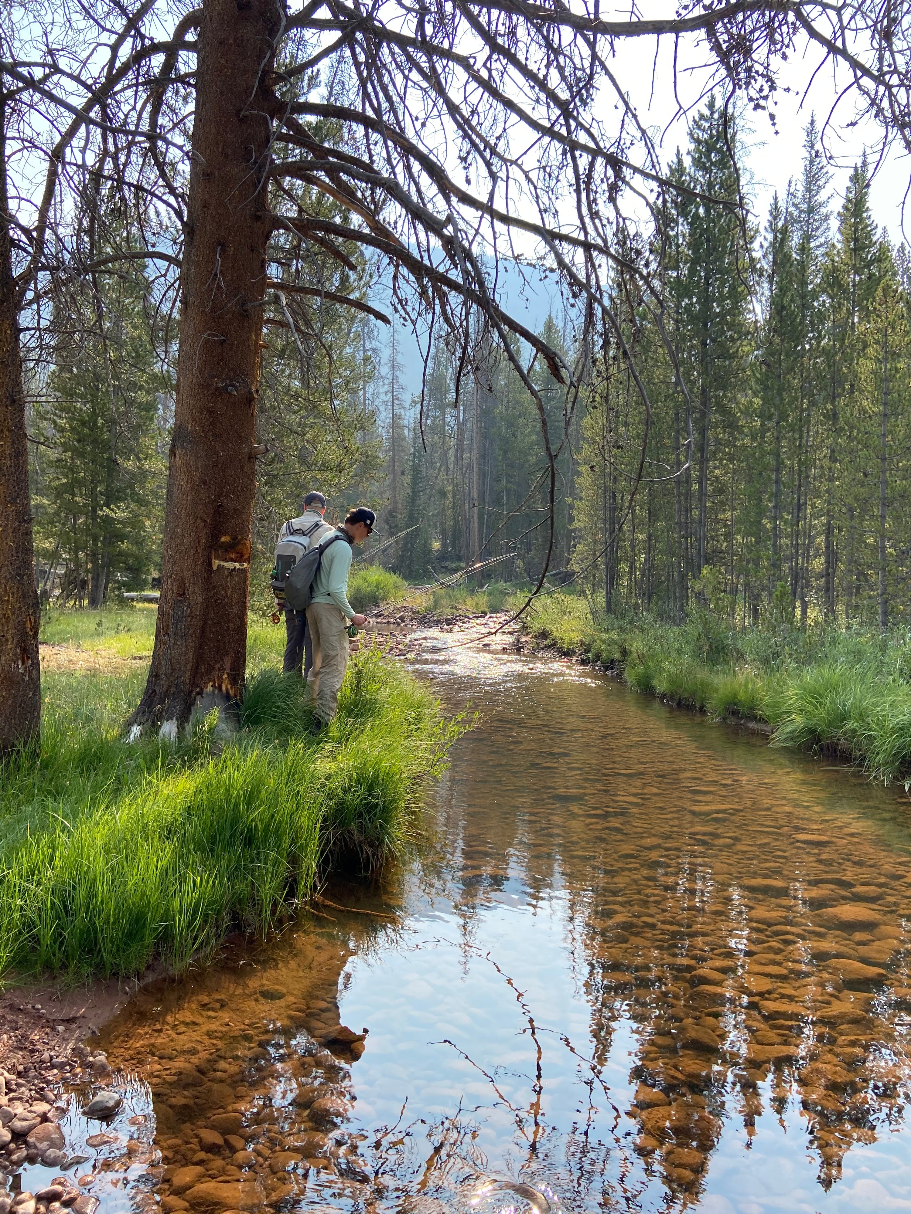 Uintah Fly Fishing
