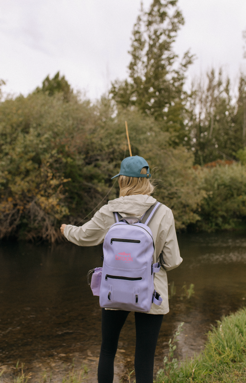 Fishing for Trout in Fall.