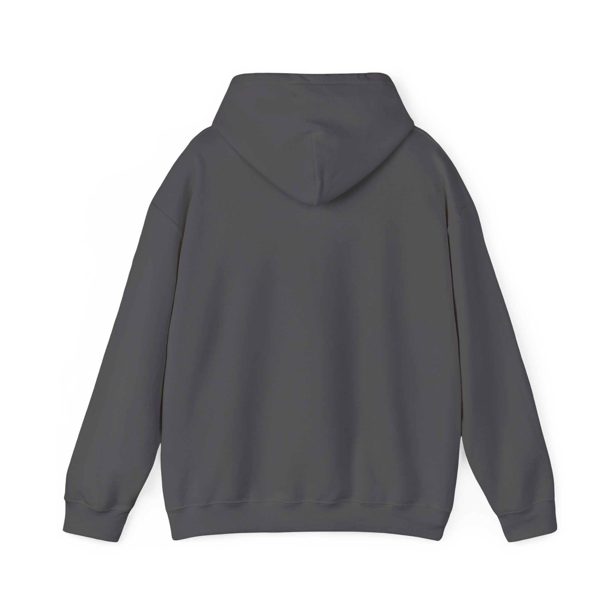 Classic Logo Heavy Blend Hoodie