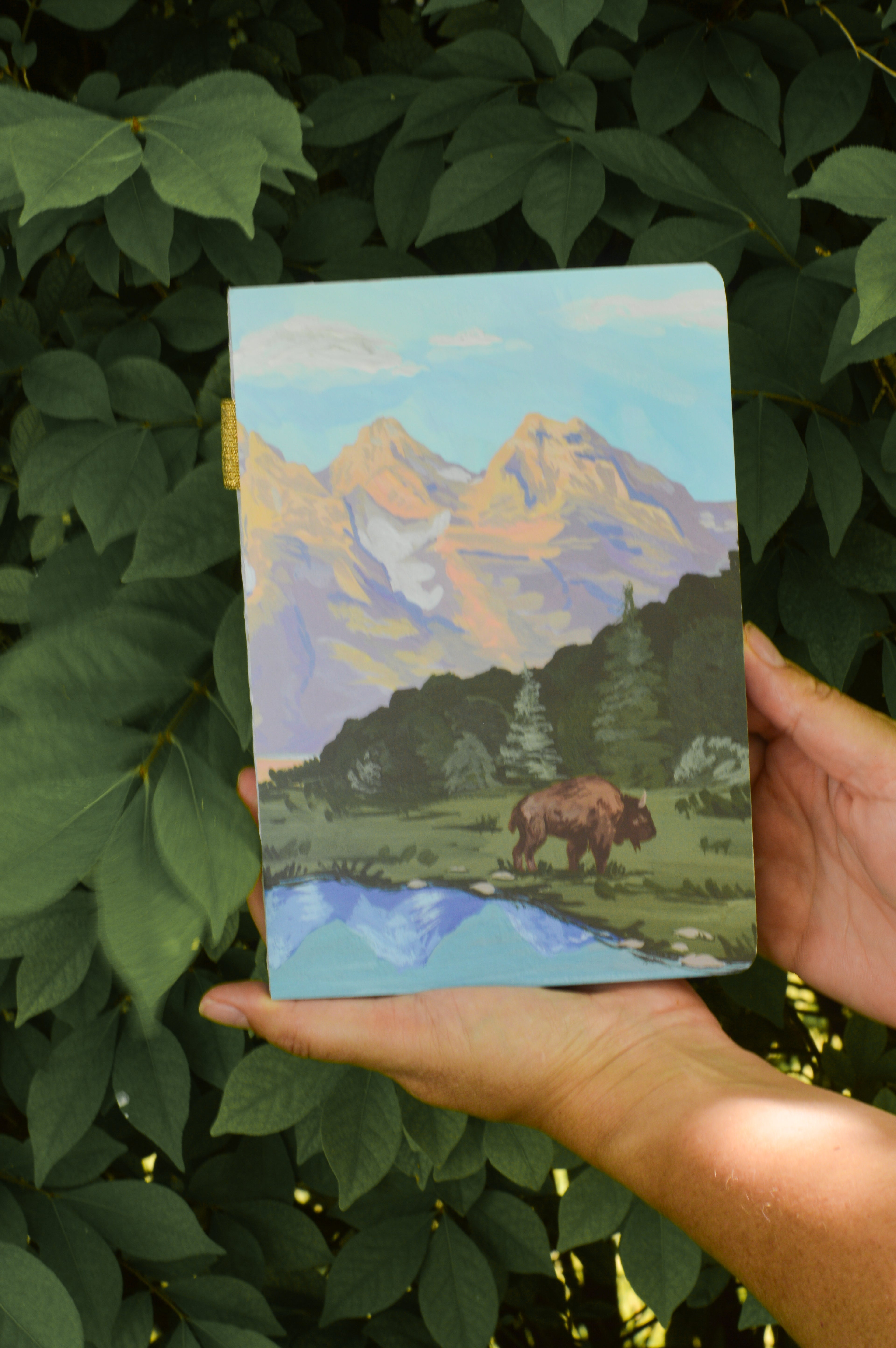 Grand Teton Buffalo Journal – Lined Adventure Notebook with Handpainted Mountain Cover (160 Pages)