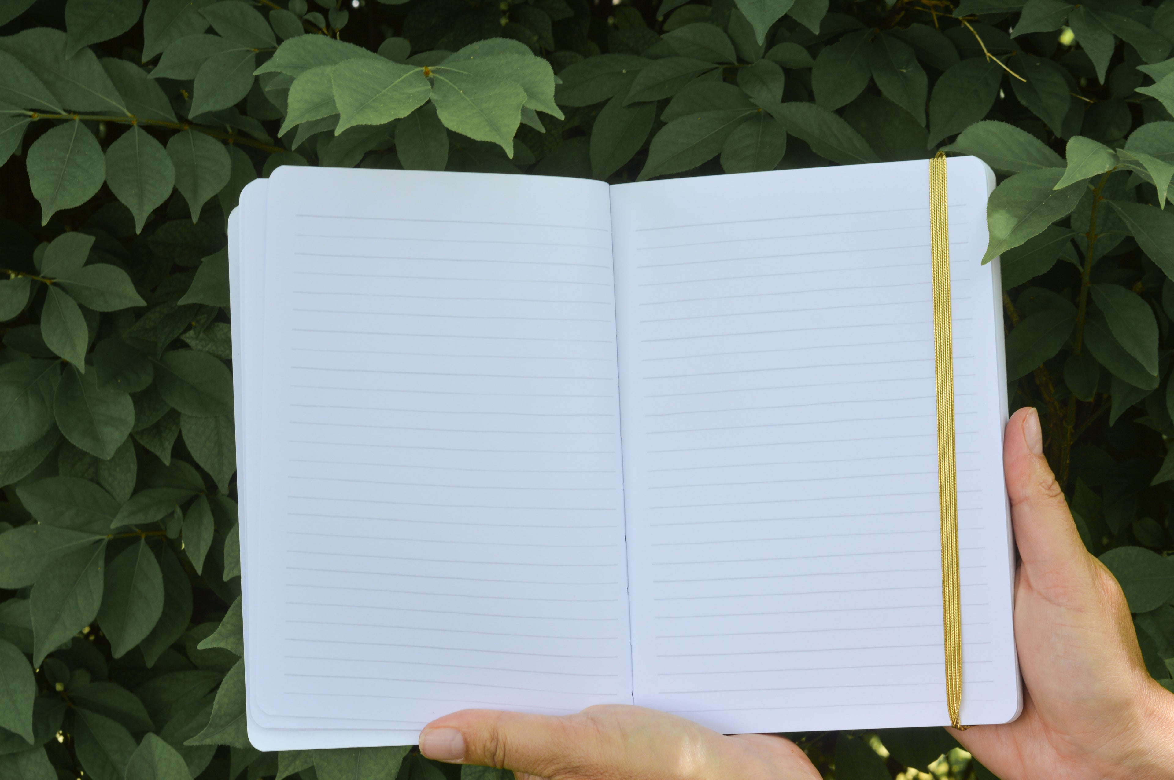 Grand Teton Buffalo Journal – Lined Adventure Notebook with Handpainted Mountain Cover (160 Pages)
