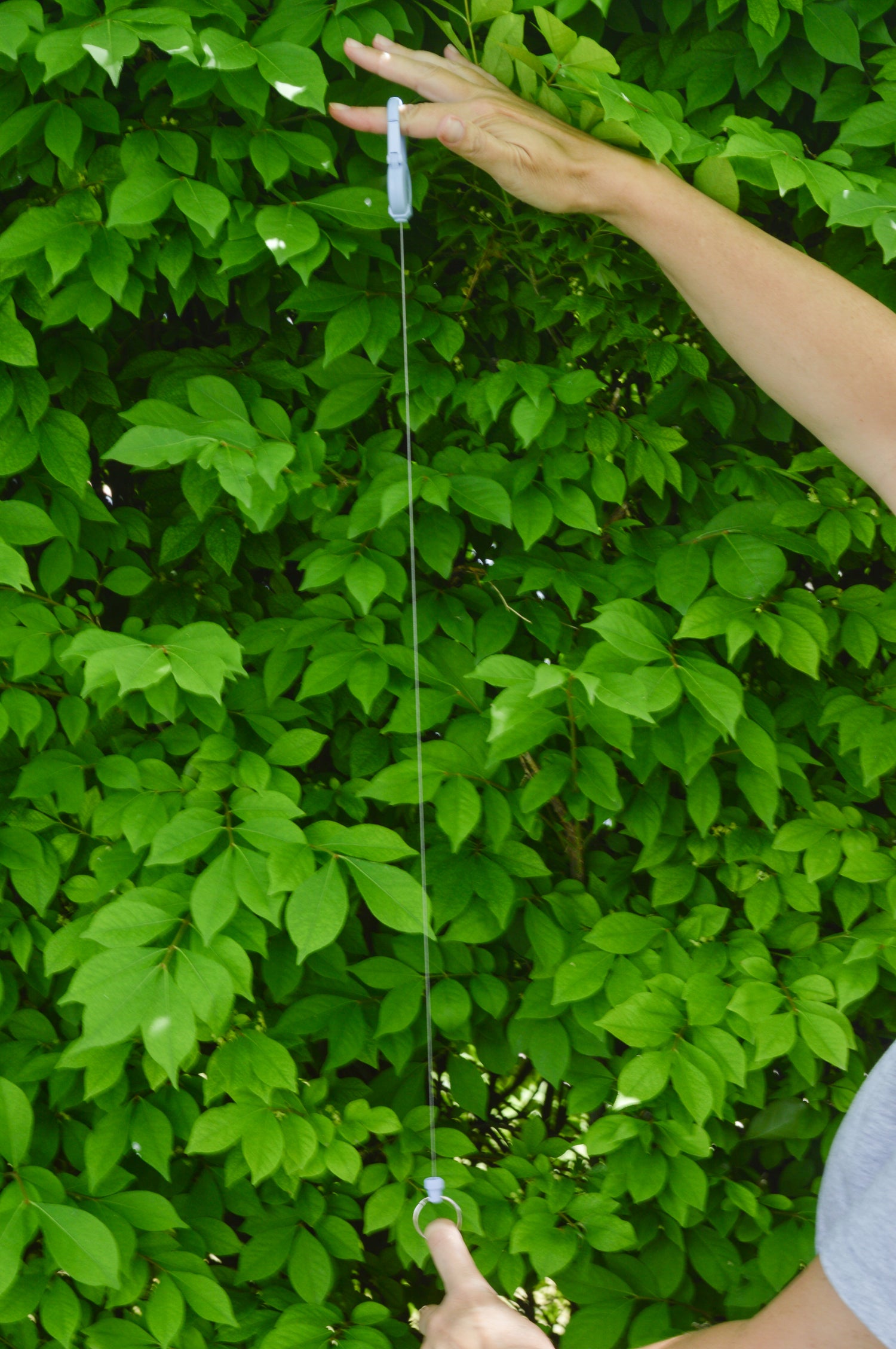 Light Blue Fishing Retractor