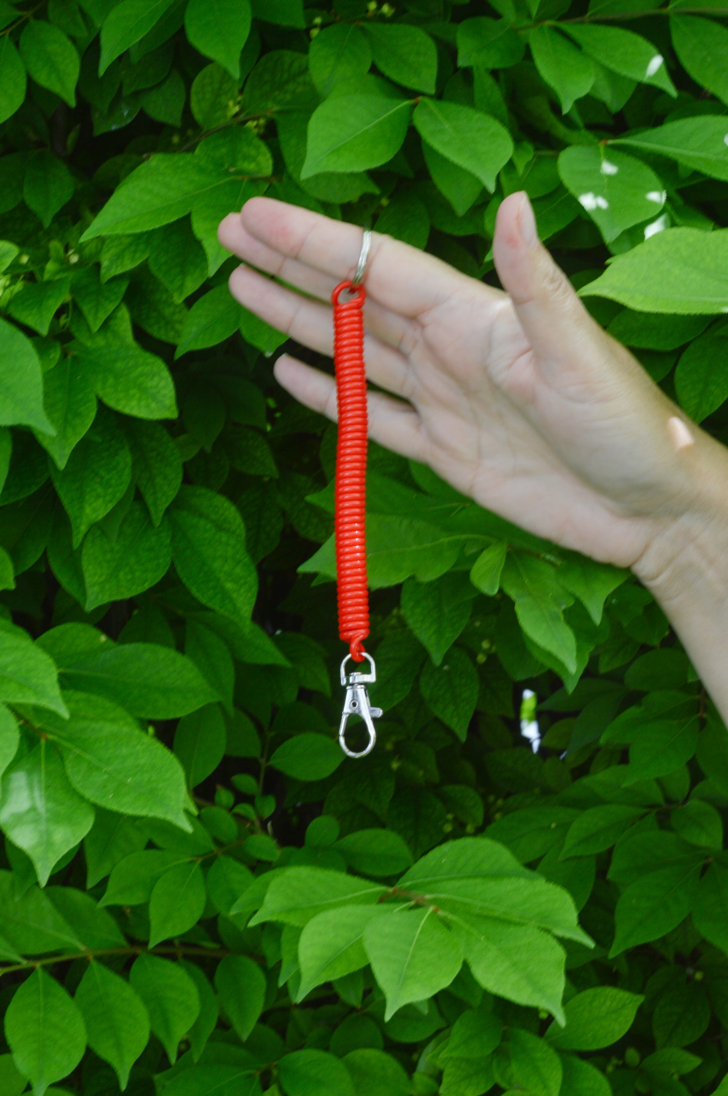 Elastic Keychain Rope