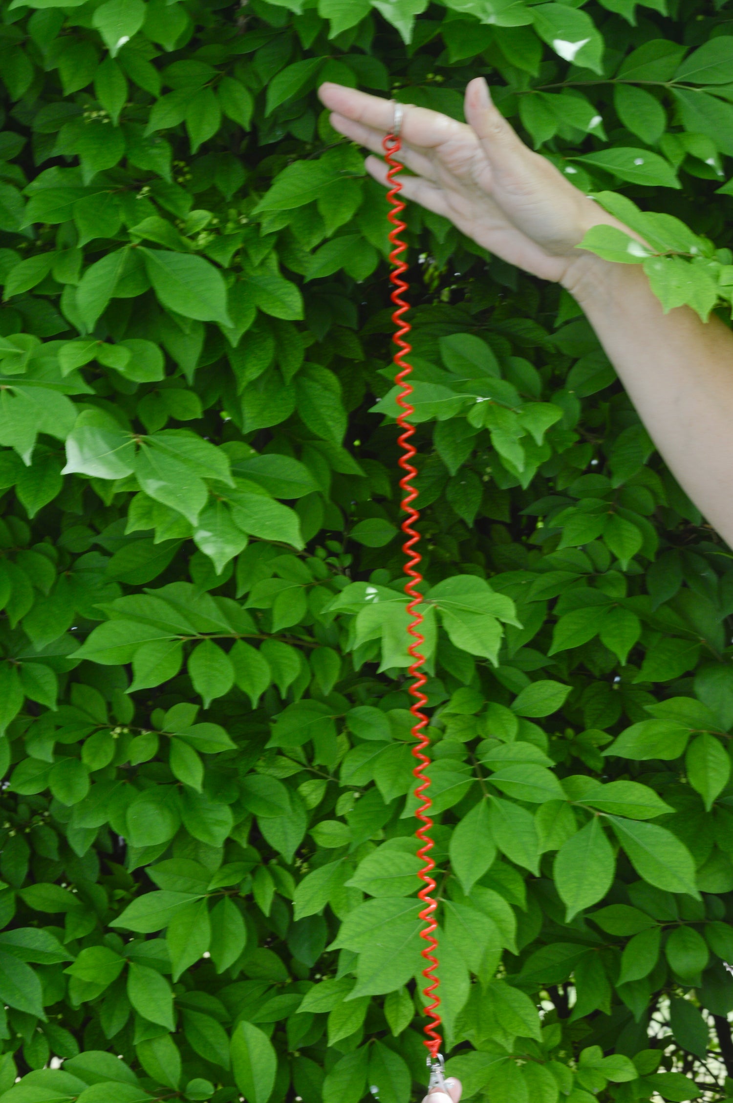 Elastic Keychain Rope