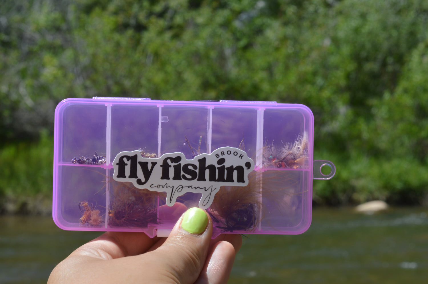 Small Fly Storage Box