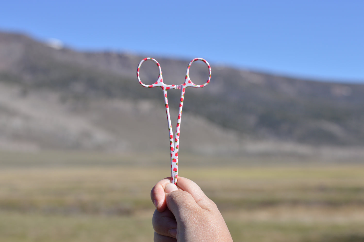 Fly Fishing Hemostats