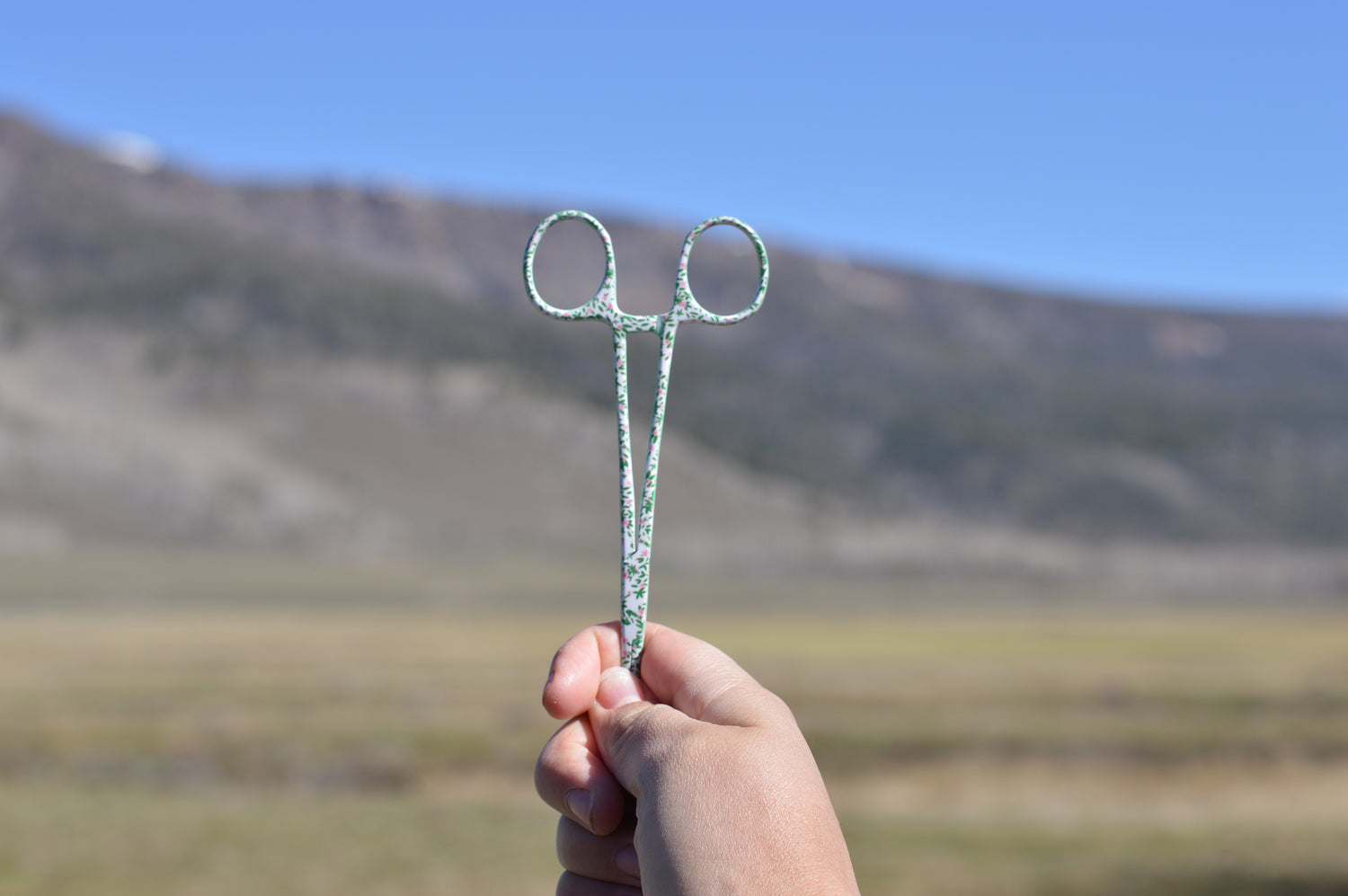 Fly Fishing Hemostats