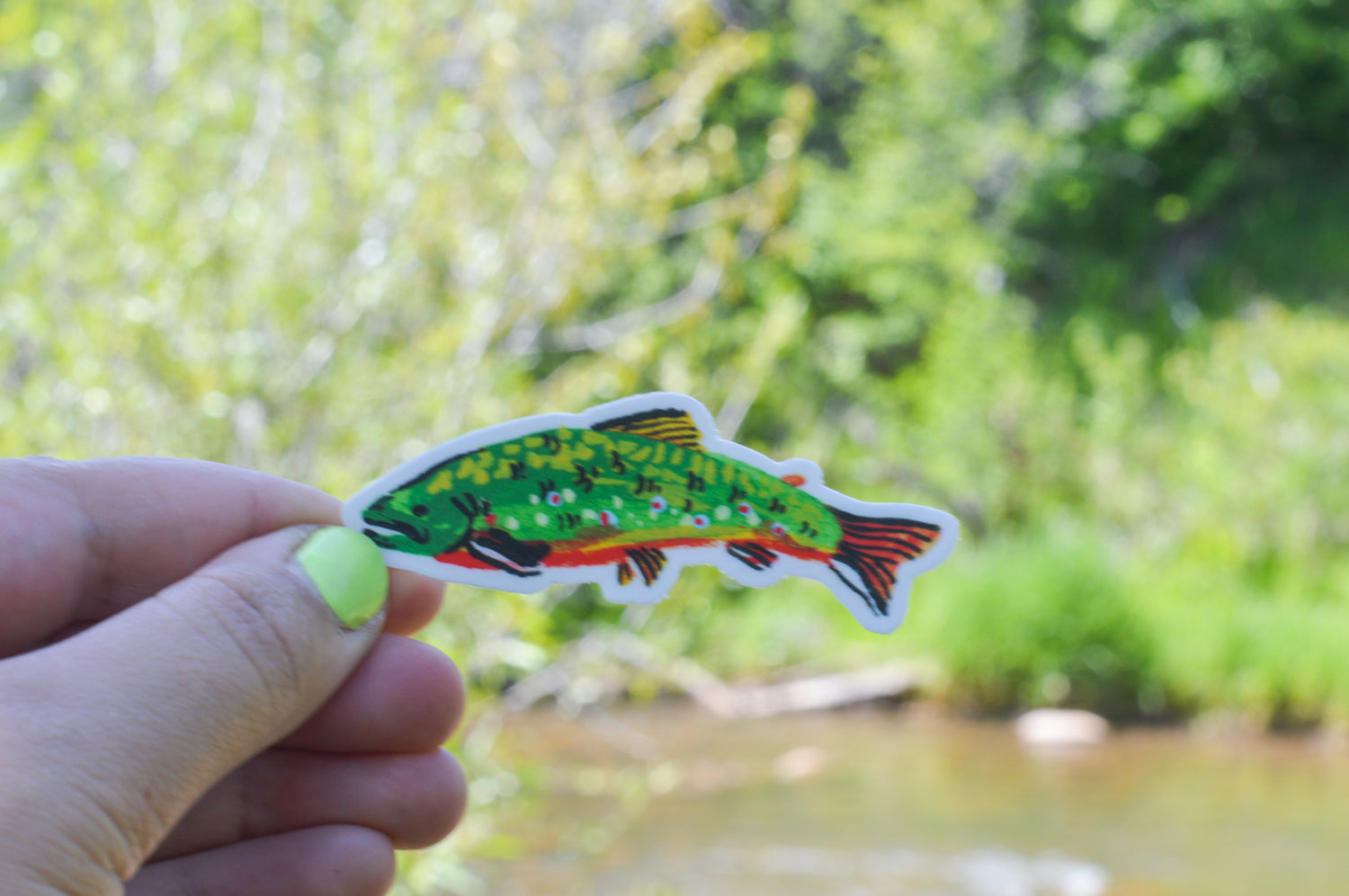 Painted Trout Vinyl Stickers