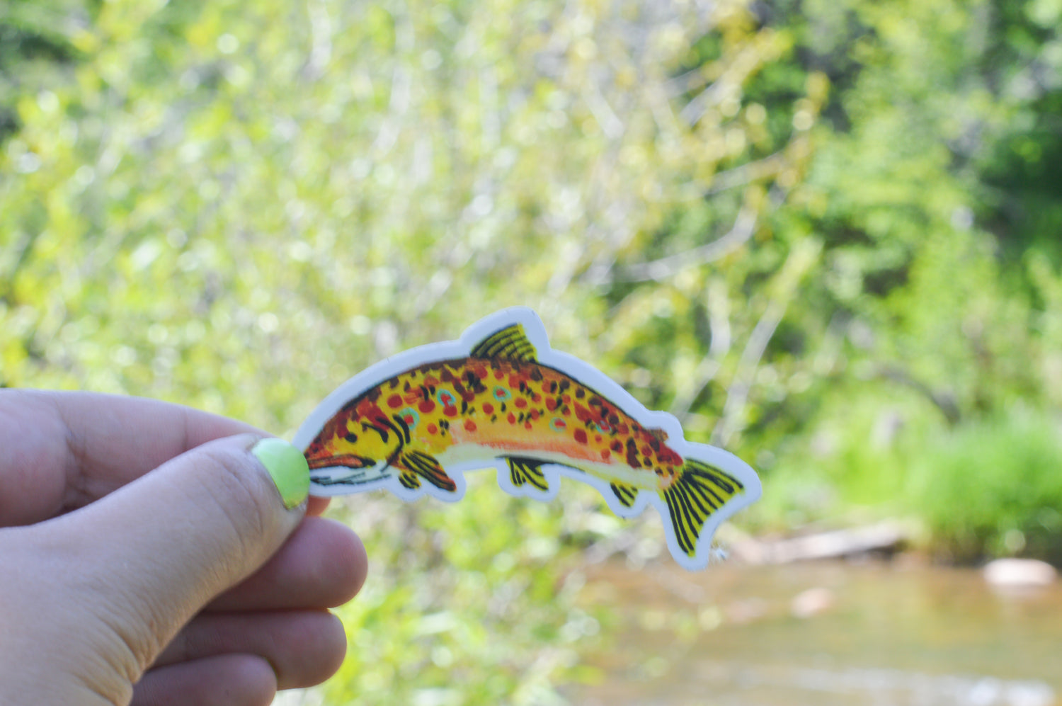 Painted Trout Vinyl Stickers
