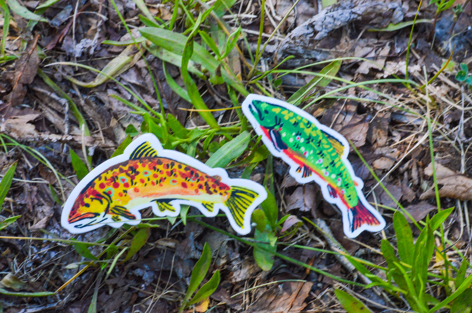 Painted Trout Vinyl Stickers