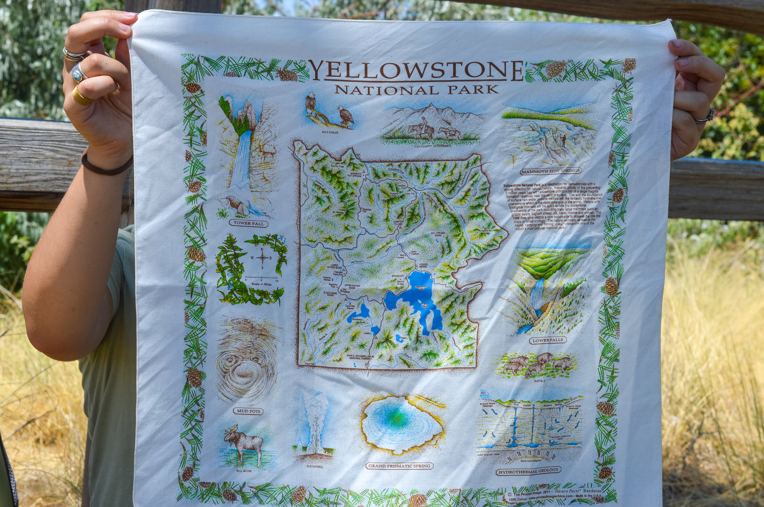Yellowstone Bandana