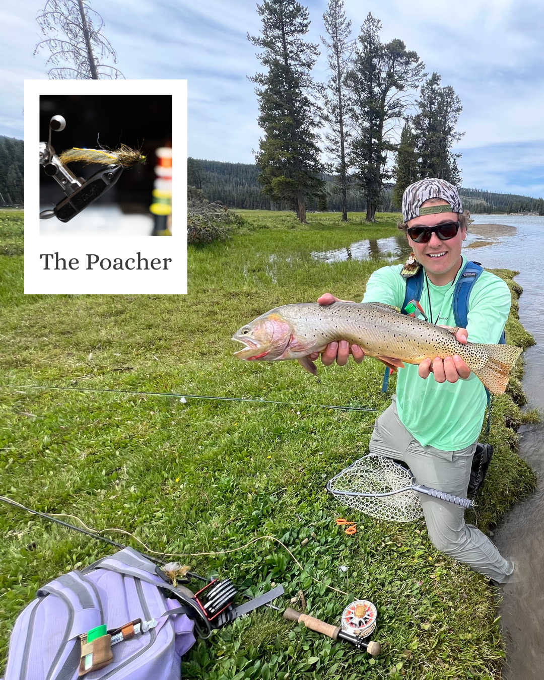 Trout Starter Fly Box & Flies