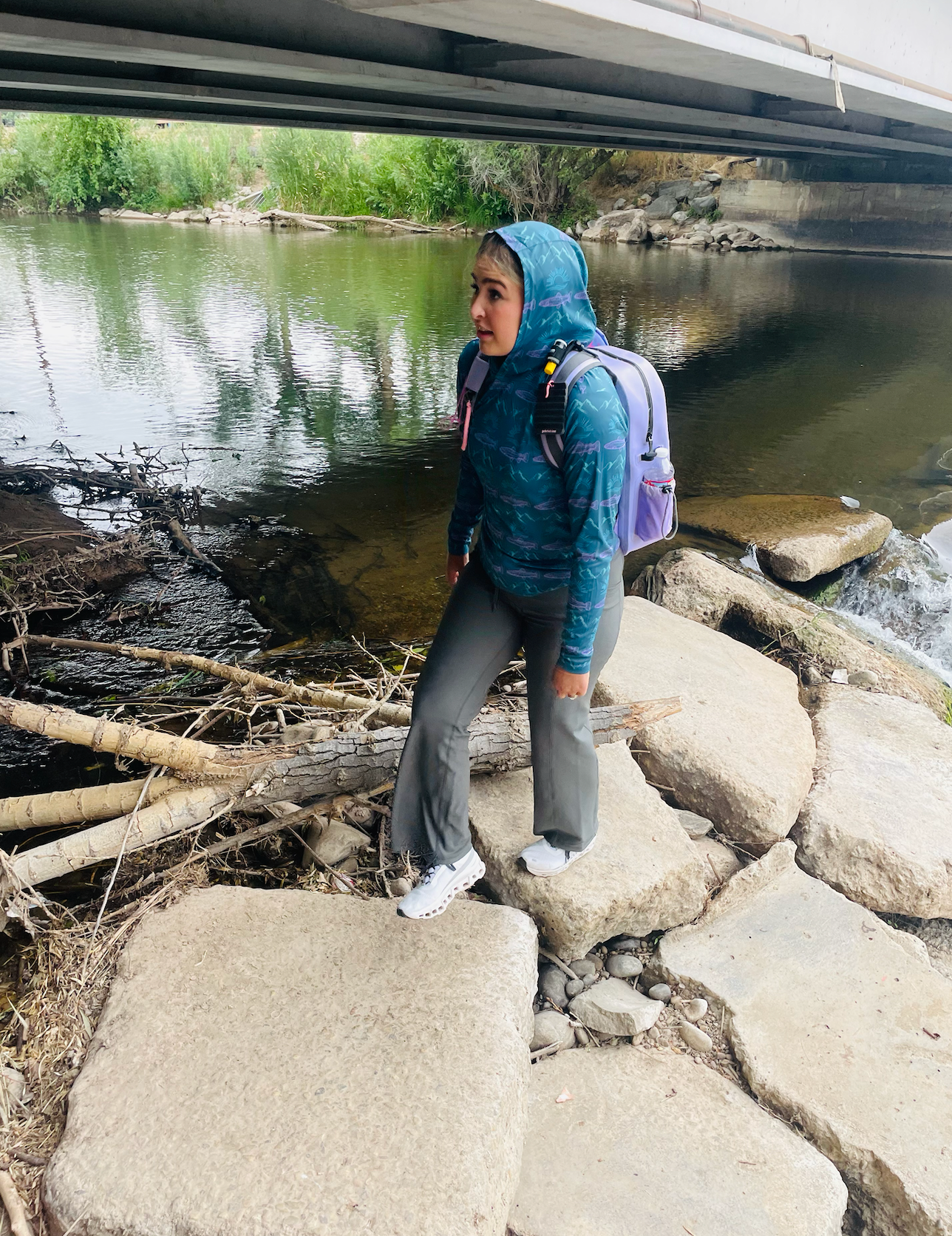 Mountain Fish Sun Hoodie