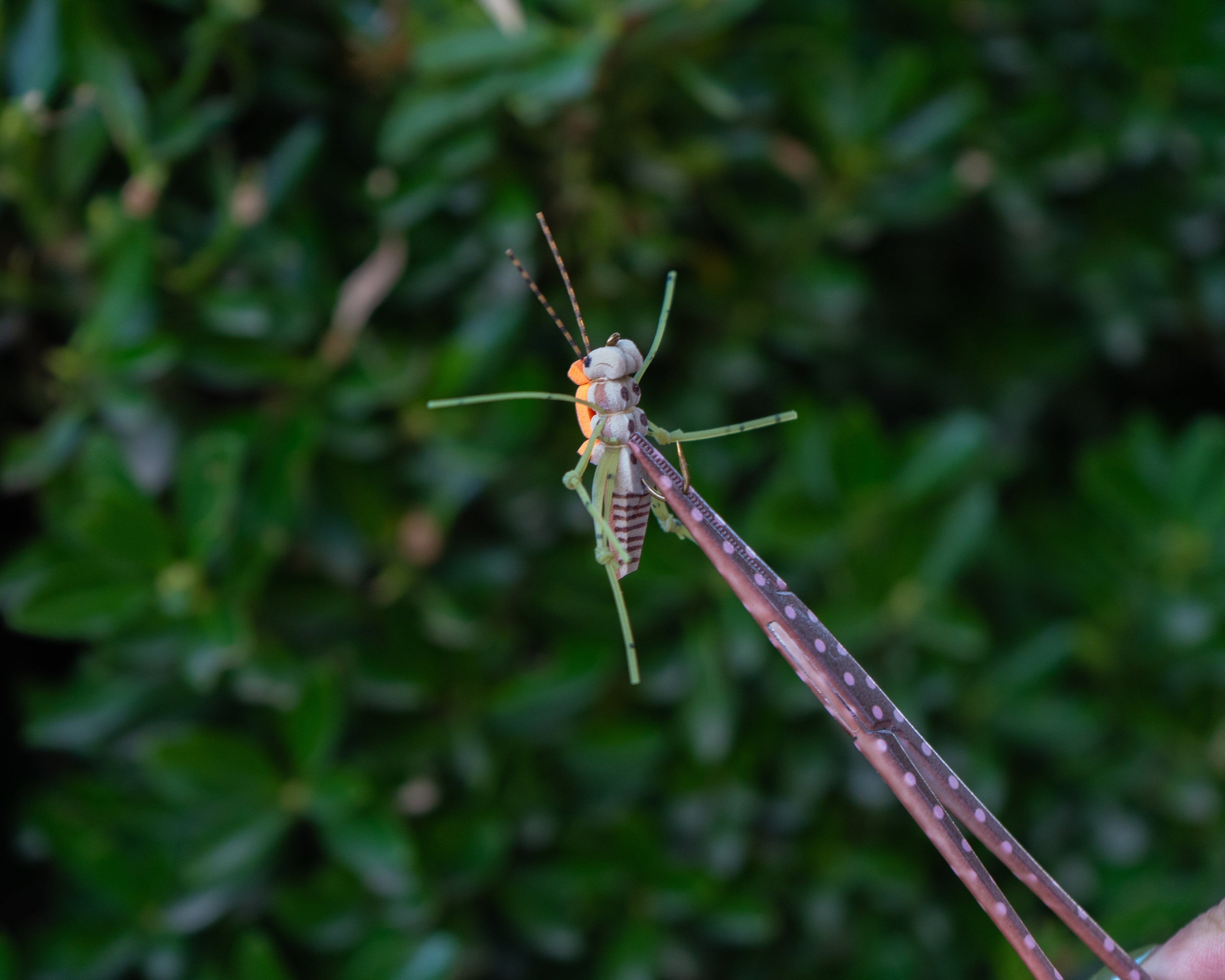 Brook Fishing Co. women’s fly fishing accessories, including brown and pink forceps.