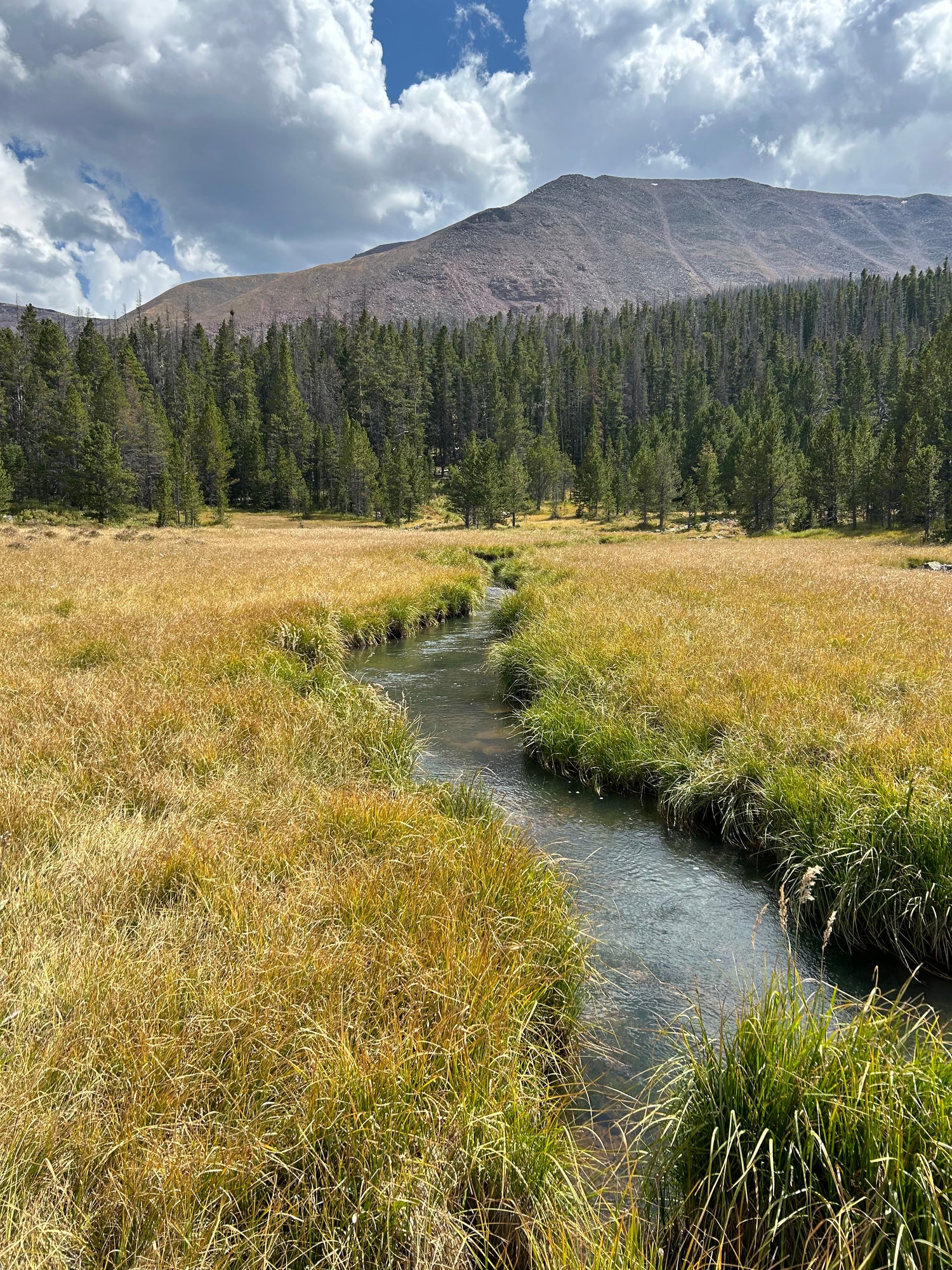 Setting the Hook in Fly Fishing