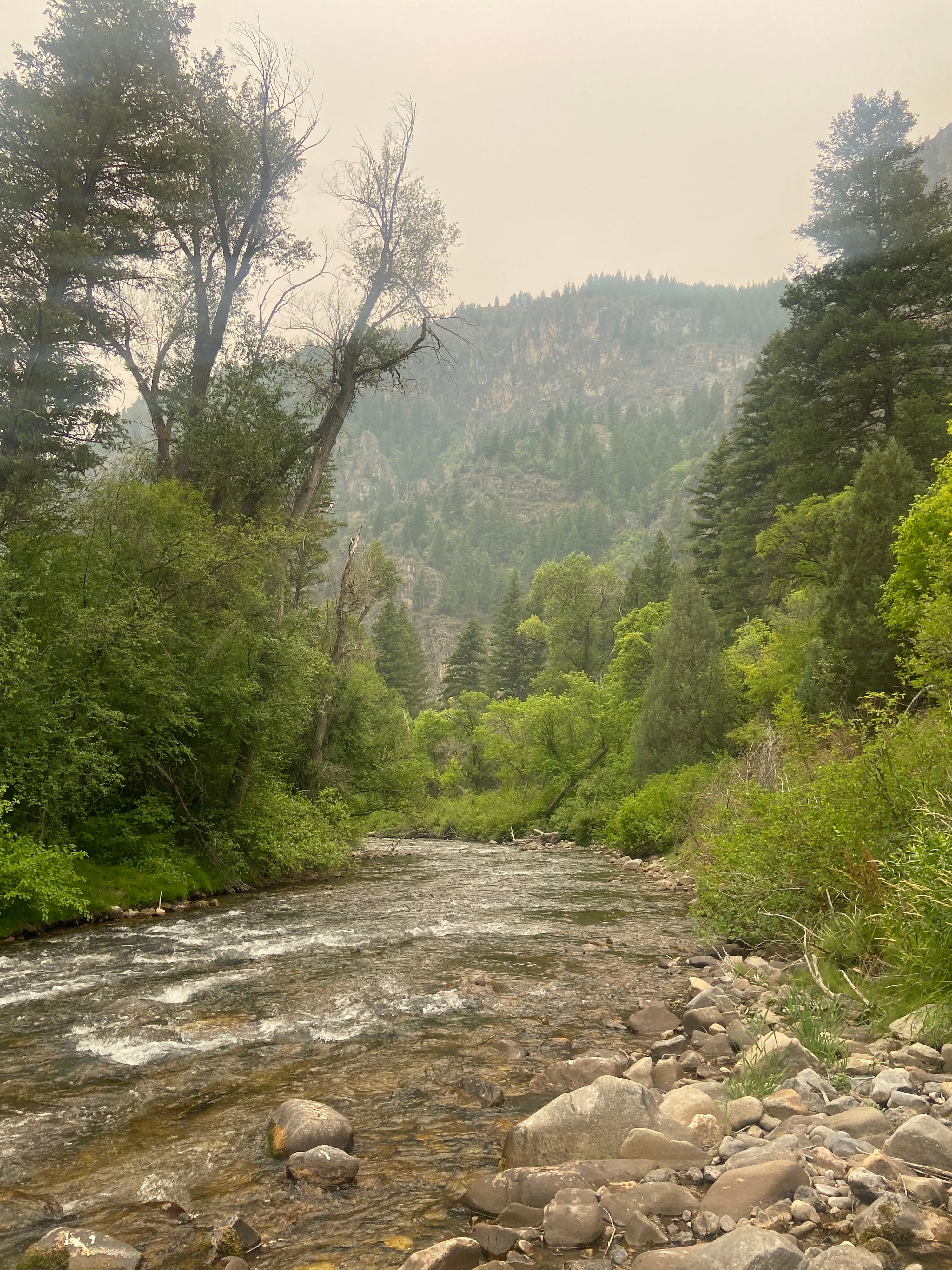 30 Places to Fly Fish in Utah