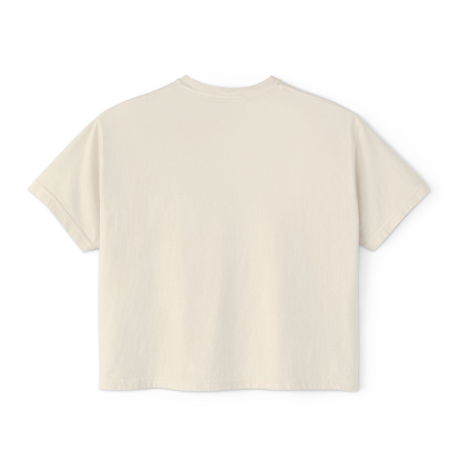 Fly Fishing Flies Boxy Tee — "brook" Graphic Women&