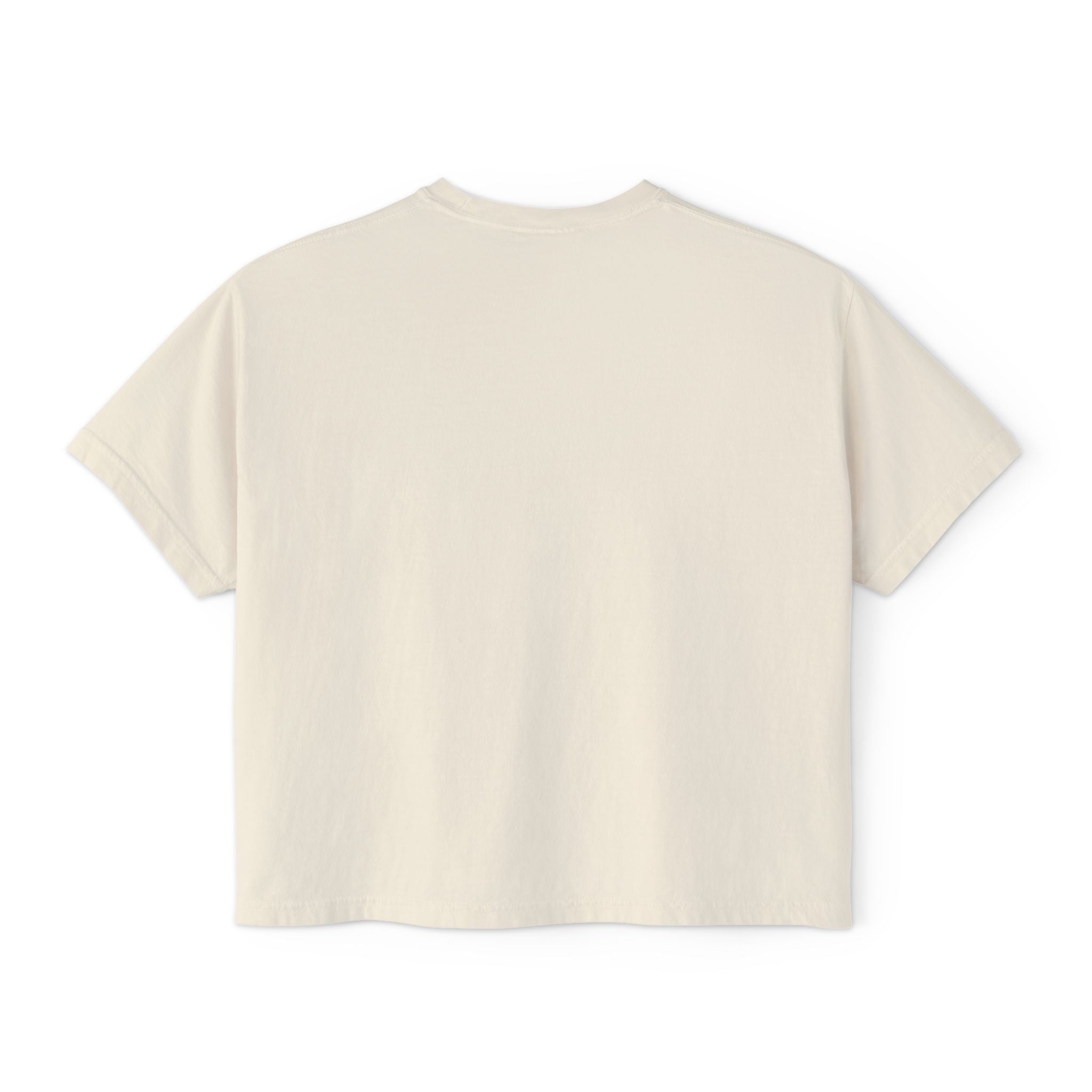 Fly Fishing Flies Boxy Tee — "brook" Graphic Women&