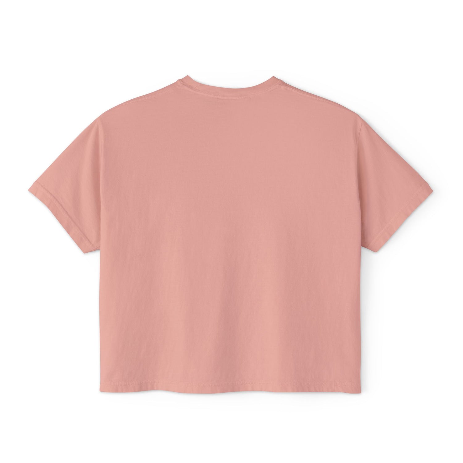Fly Fishing Flies Boxy Tee — "brook" Graphic Women&
