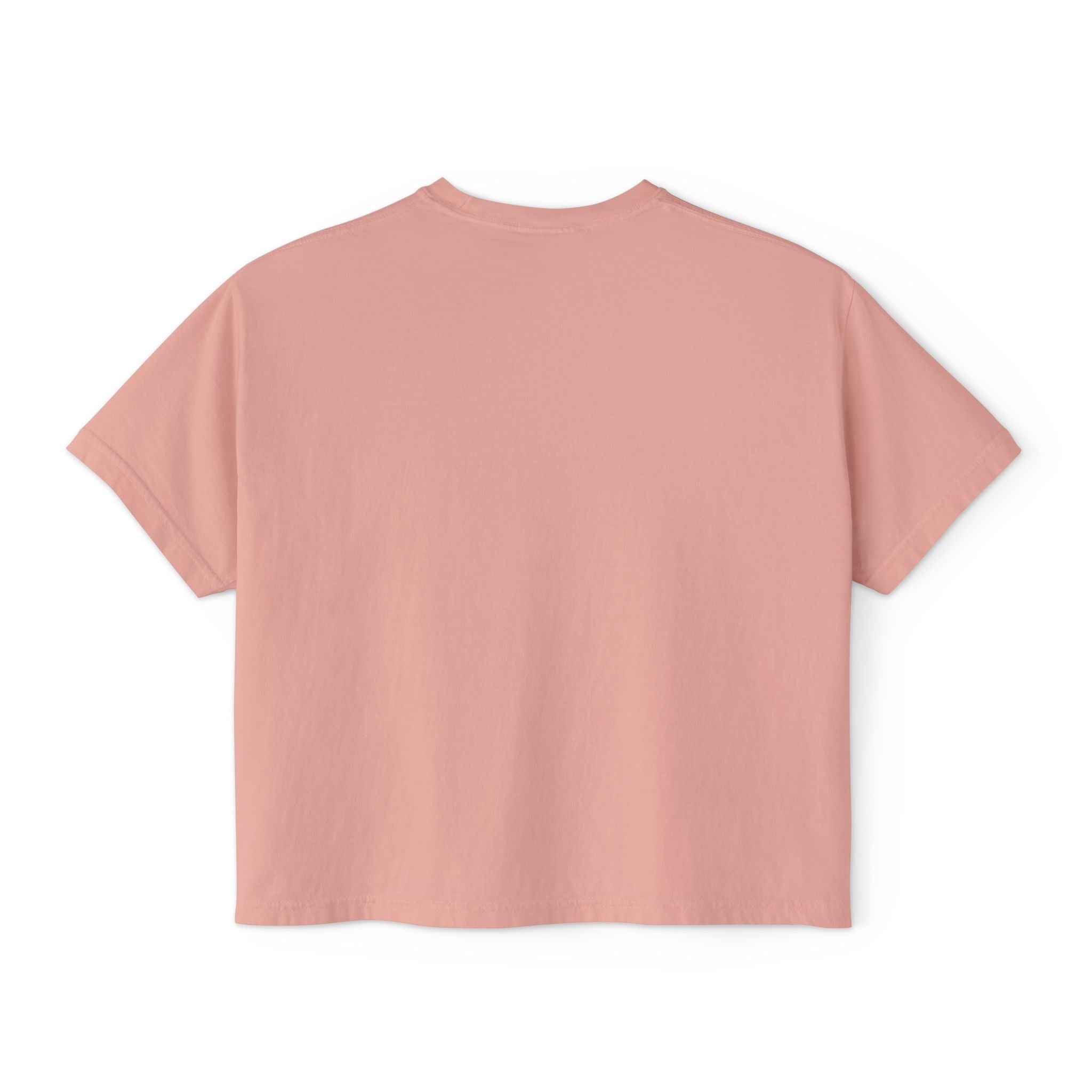 Fly Fishing Flies Boxy Tee — "brook" Graphic Women&