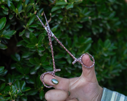Close-up of Brook Fishing Co. fly fishing hemostats with pink polka dots on brown handles.