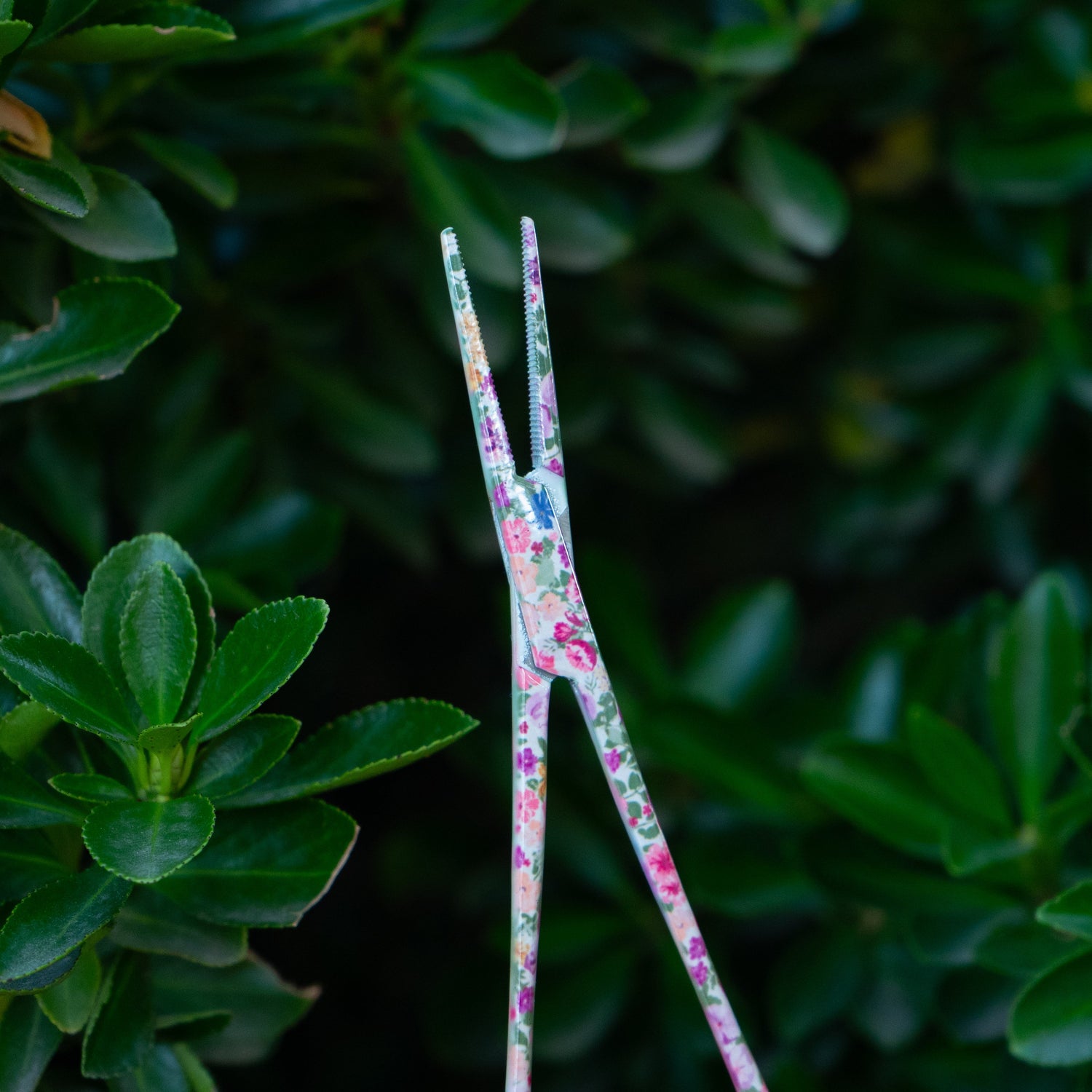 Close-up of the tip of Brook Floral Hemostats showing the serrated teeth and precise stainless steel grip with pink floral pattern for fly fishing.