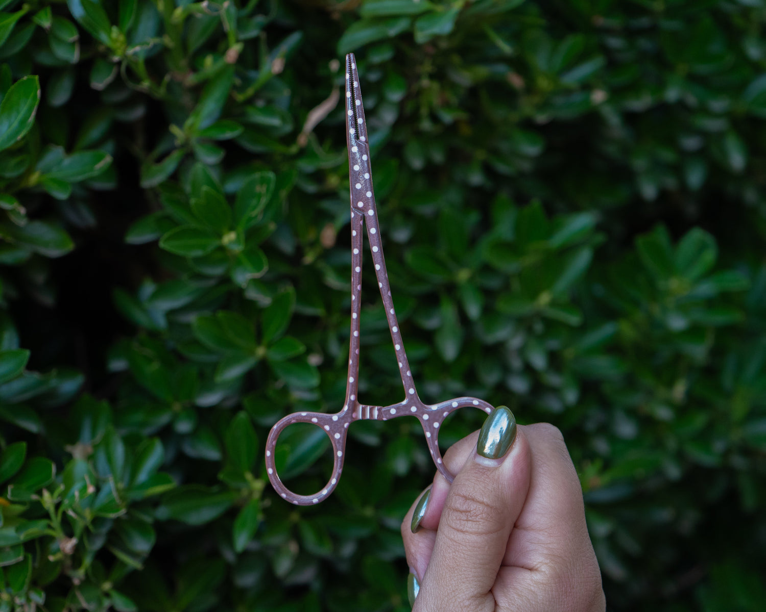Brown and pink polka dot fishing forceps with stainless steel finish on white background.