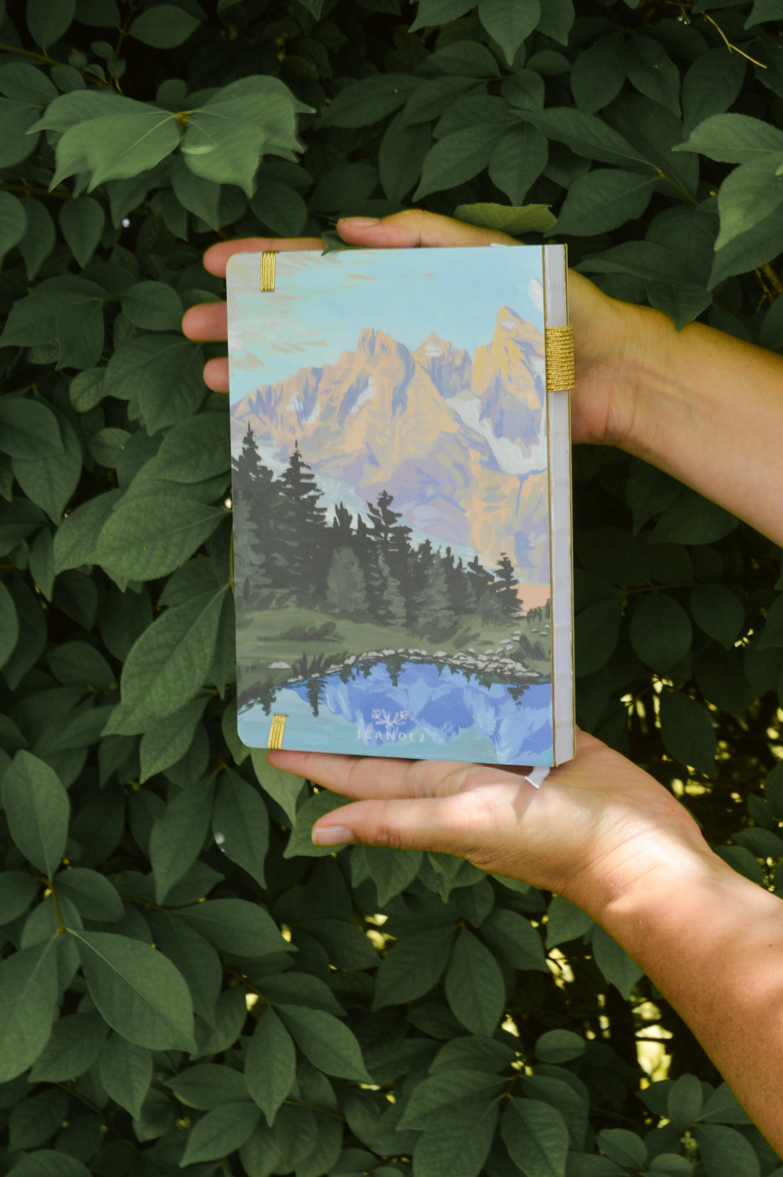 Grand Teton Buffalo Journal – Lined Adventure Notebook with Handpainted Mountain Cover (160 Pages)