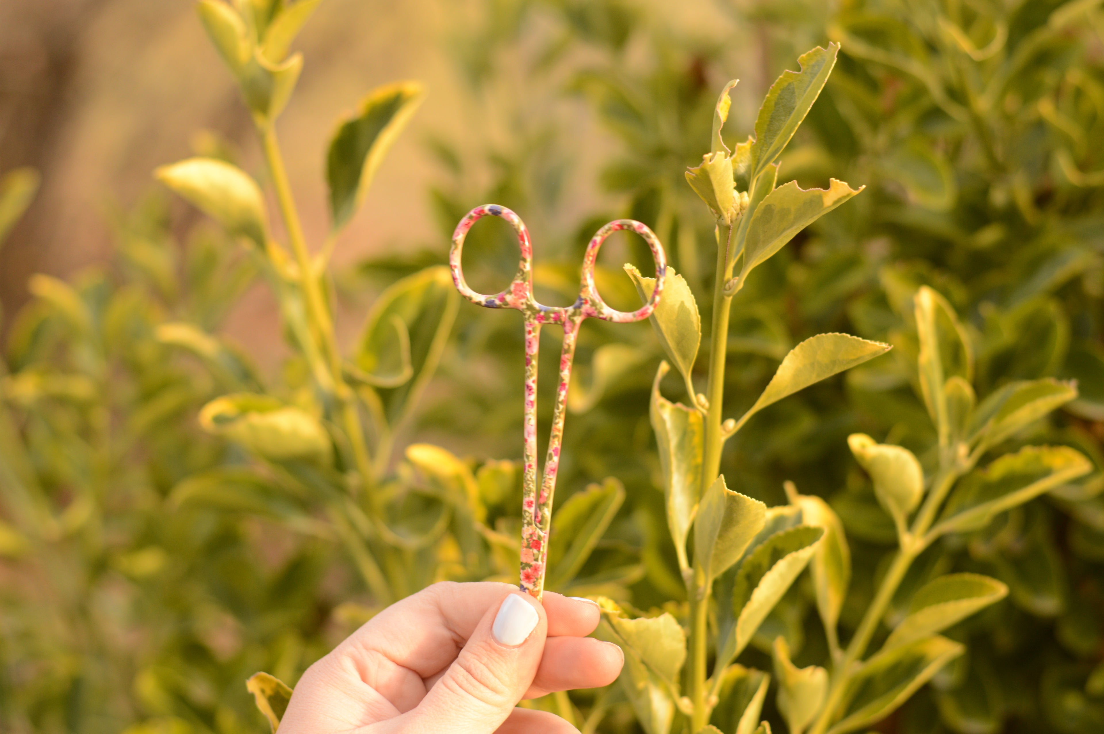 Fly Fishing Hemostats