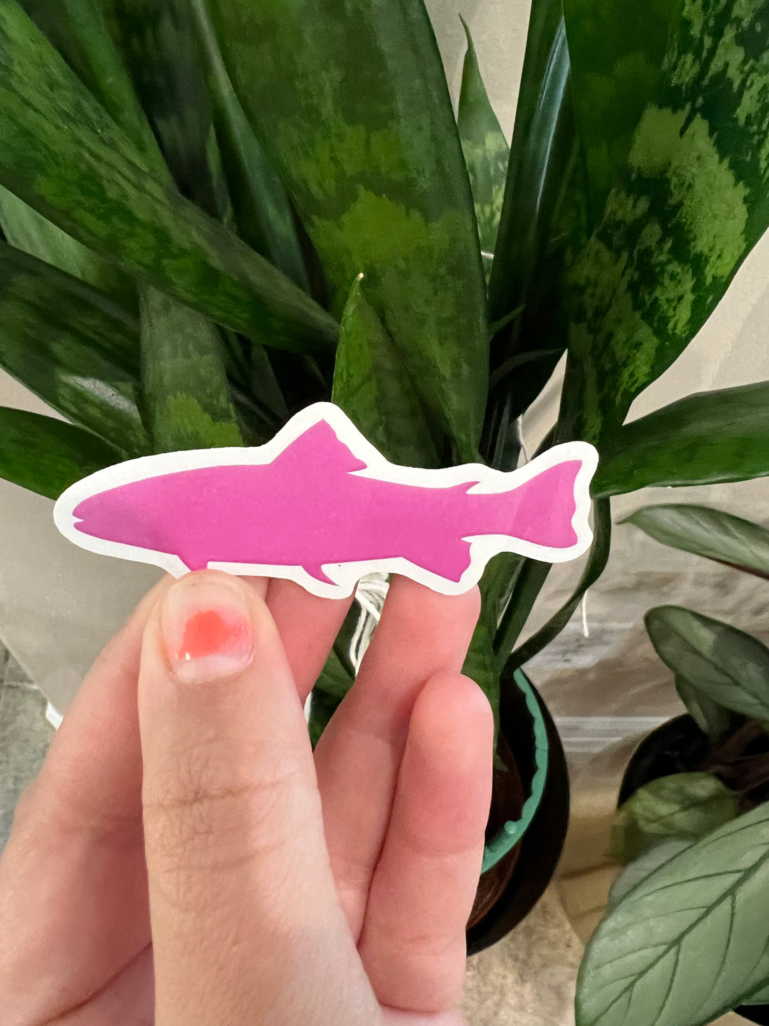 Pink Trout Sticker