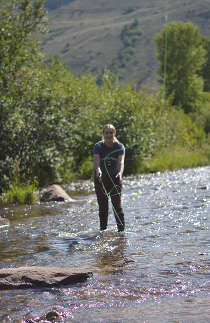 Brook Fly Fishing Club Tee