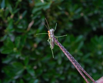 Brook Fishing Co. women’s fly fishing accessories, including brown and pink forceps.